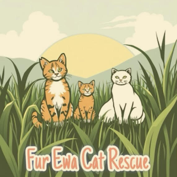 Fur Ewa Cat Rescue